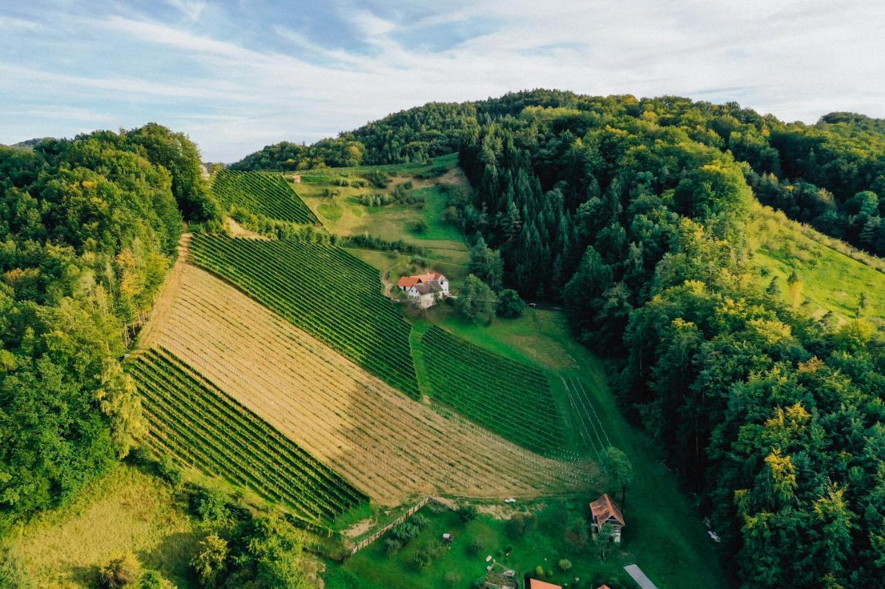 Вилла Winzerhof Strablegg Гросклайн Экстерьер фото